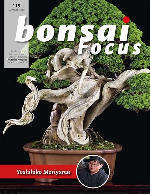 Bonsai-Focus 119 Januar/Februar 2023 Bonsai-Focus 2023 (119), Jan/Febr.