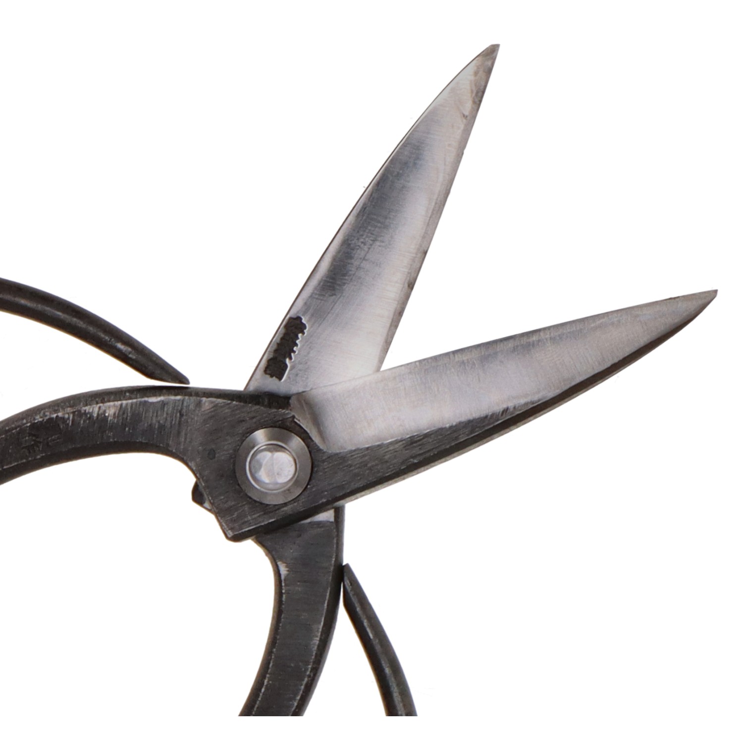 Bonsaischere (200mm),  Linkshänder